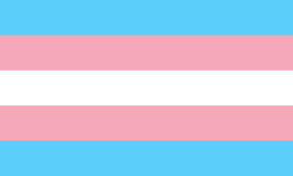 Transgender Flag A rectangular flag with five equal-width horizontal stripes: blue, pink, white, pink, blue.