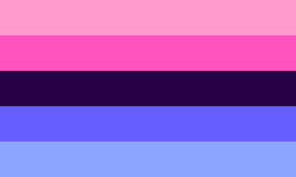 A rectangular flag with five equal width horizontal stripes: pink, a darker pink, dark purple, bluish purple, light bluish purple.